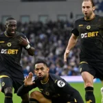 Liga Inggris 2024-2025: Brighton 2-2 Wolverhampton Wanderers